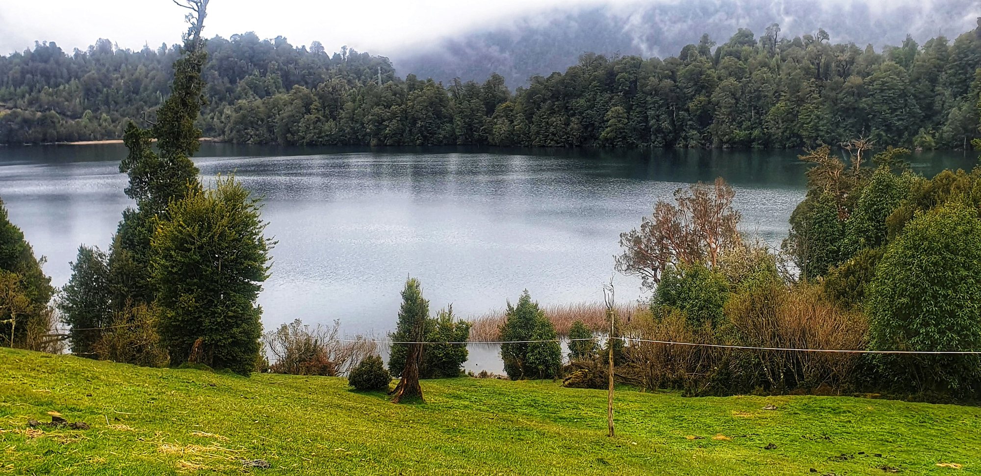 La pradera de la orilla de la Laguna El Palmar, con el bosque nativo cerrando al fondo
