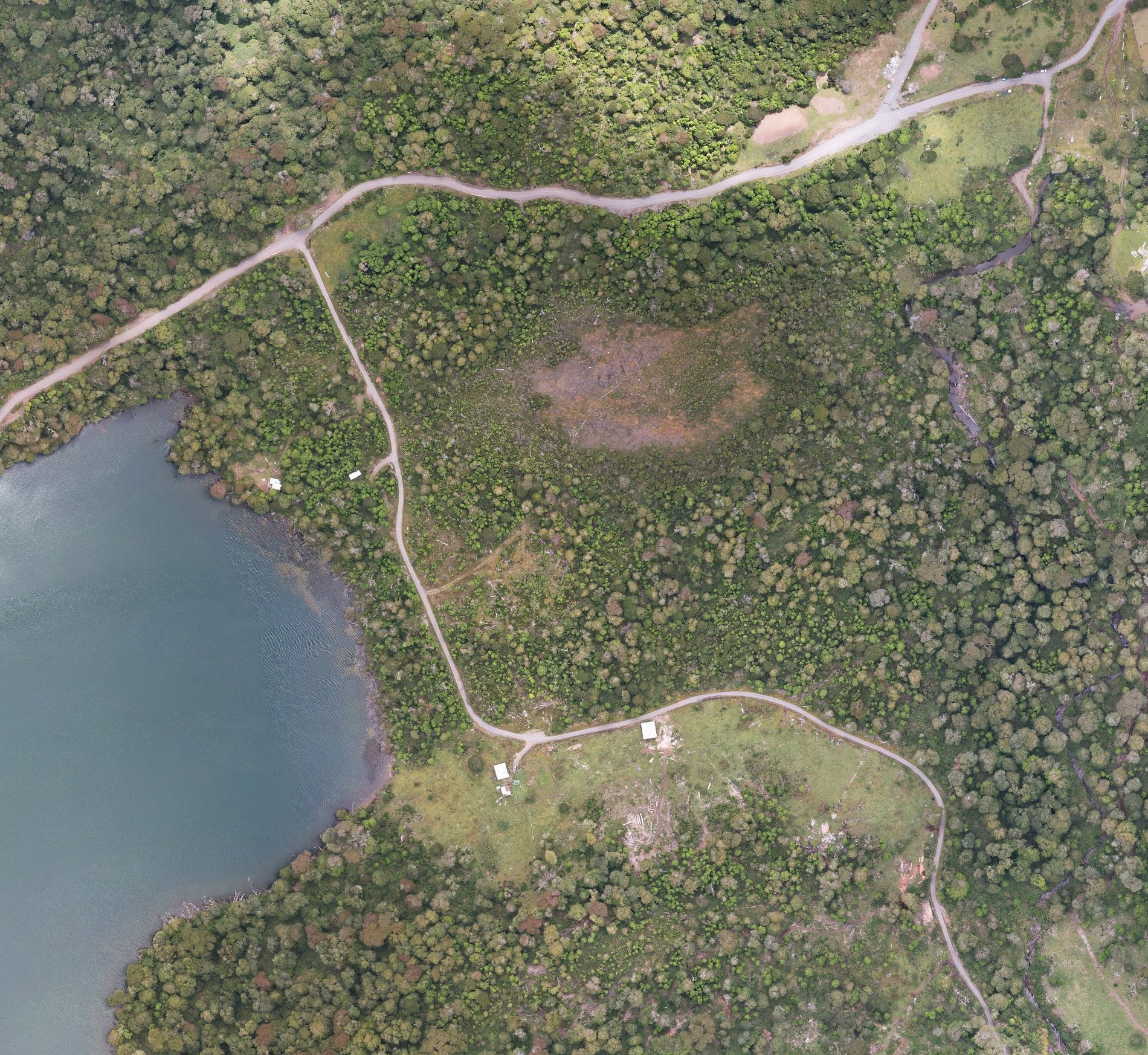 Ortofoto aérea del predio de Puerto Paraíso, a 14 centímetros por píxel